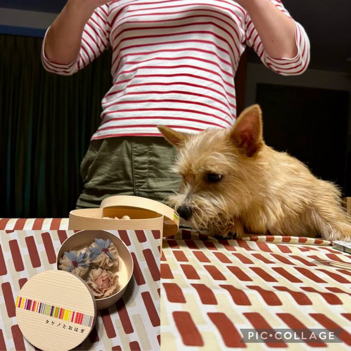 E0854c24 dc52 4461 9e8e 2f4600f3b0dd 1729941249578