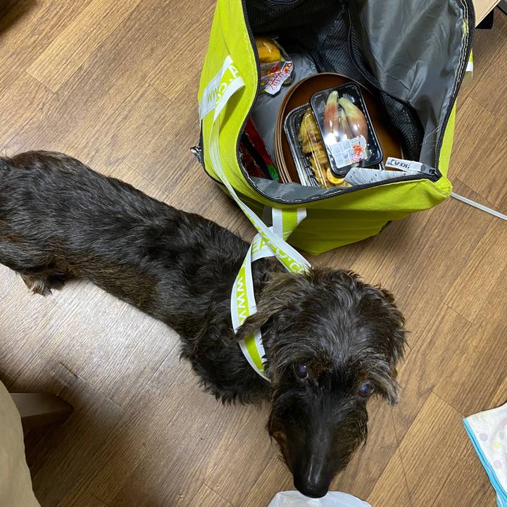 E08551f5 7afa 4186 b02b 5d4c66f39dd1 1599309905433