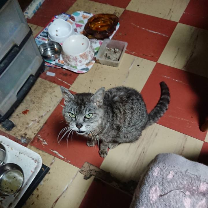 E0856be4 313e 4e54 a297 3c821f9335de 1595237880533