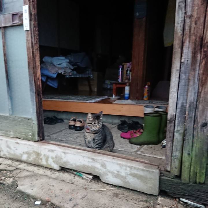 E0858376 5887 41ba 9760 9615ae1cfaf6 1658528504426