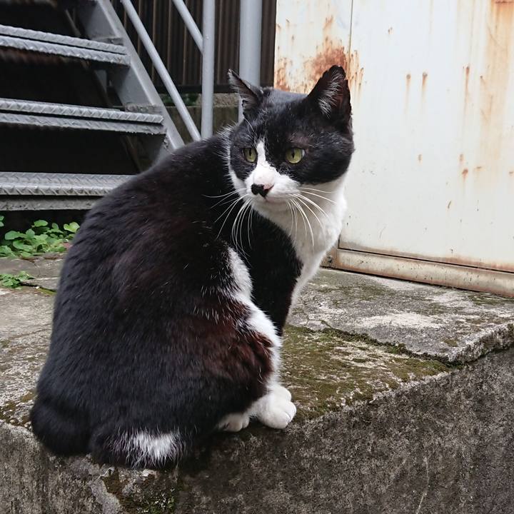 E085afab a5af 4951 858d 759959df473d 1585270800196