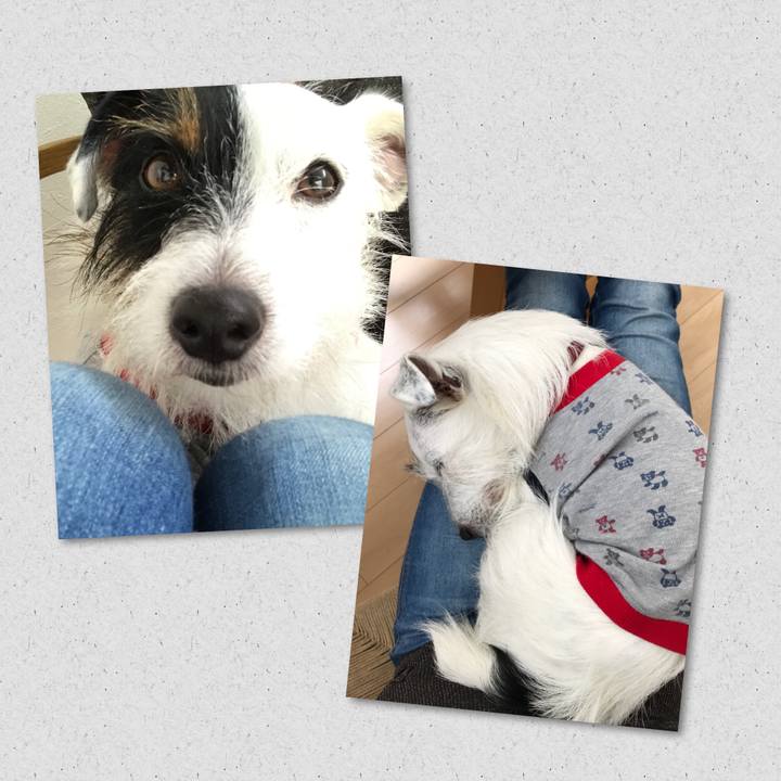 E085e2fa b8d2 4760 afa8 f2f528d70851 1509163324320