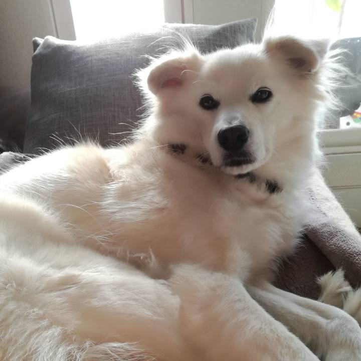 E085e807 195f 45a8 91ae 1667f1e71020 1547784138118