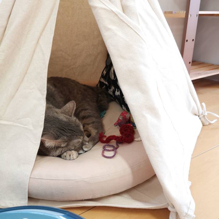 E0860dd6 4b88 401d 87f6 2fd8d2f0366e 1565321535262