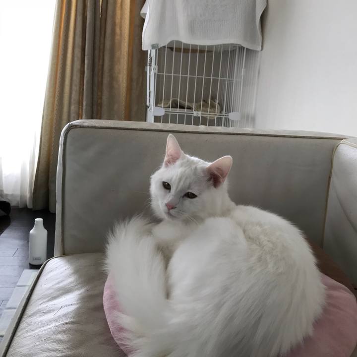 E0862dd1 b1f3 4df6 9723 e688f9c22a17 1517715904505