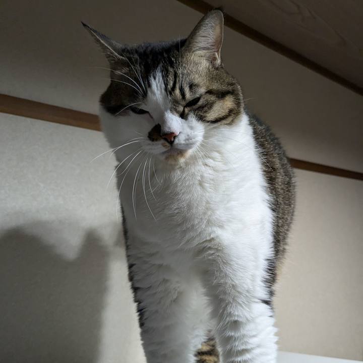 E0864b72 3c8c 43c2 be9f e0d2d5a7b682 1731144903143