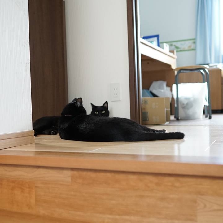 E086cbde 2493 47bf abc7 2a1e7d7e0abb 1561680255878