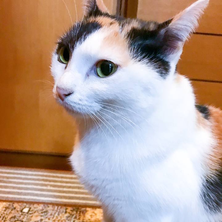 E086ecbd 0be5 449a 8eaf bef526c7afad 1509255001858