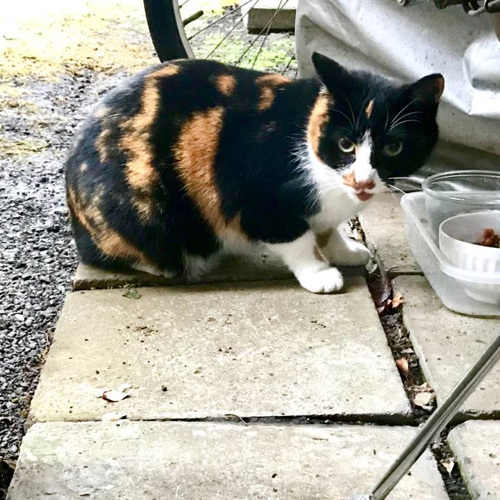 E0874270 44fb 48f6 890c 86a2c492f5ae 1510643091793