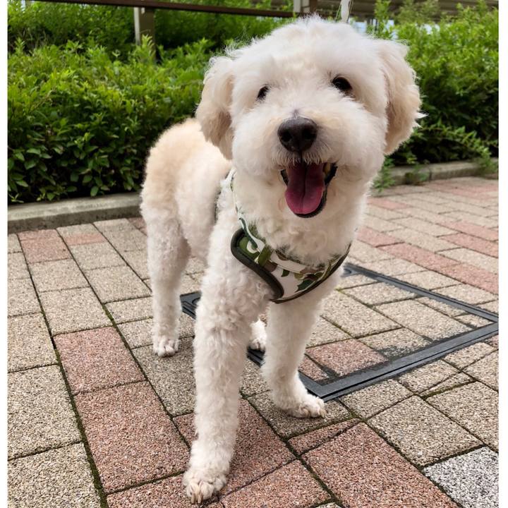 E0875e32 5578 416f b508 38e0a0da75b1 1534085905341