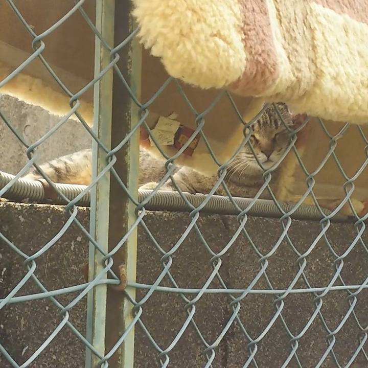 E0876807 9eae 4719 98da 8371bd2c01e4 1553655368020