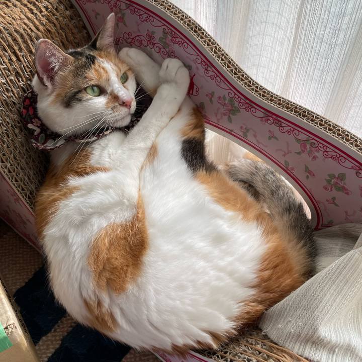 E087d4e0 13b3 4200 8c37 367fcbfd9804 1751703321348