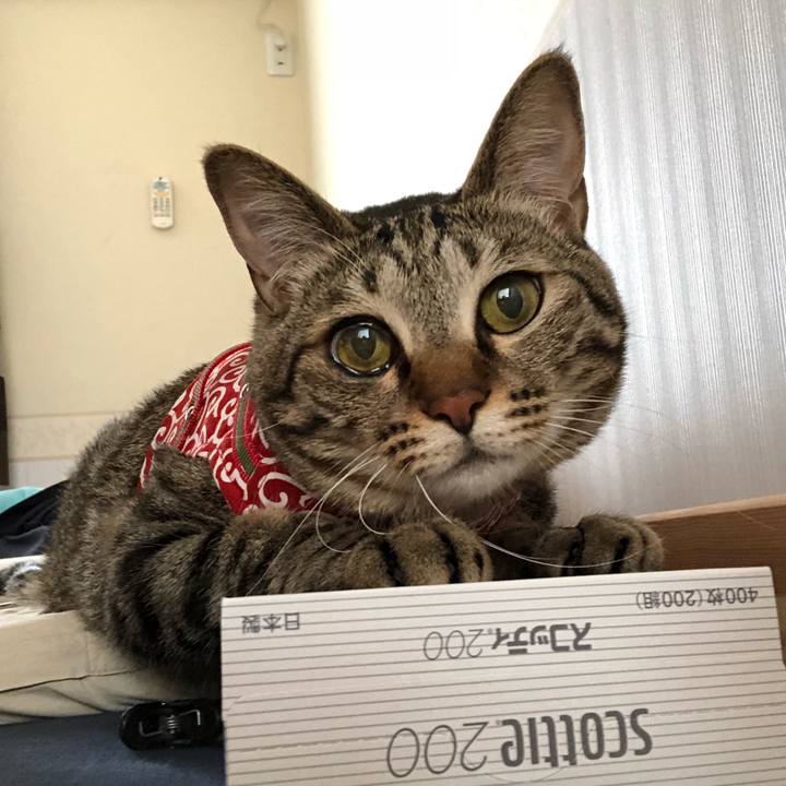 E087f38d bf8a 4ff5 8b1e 20b9de9e1955 1526980960444