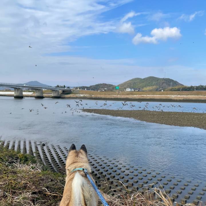 E0881021 cebf 476b 909a 8bfeda10f238 1670159224301