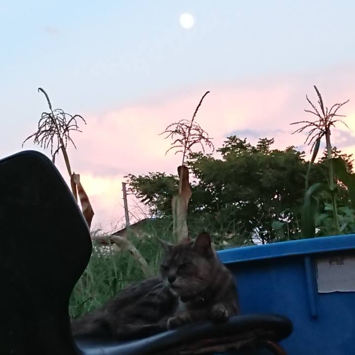 E0882d17 c1ca 47ce b3e0 9fb5b84e834d 1598779564126