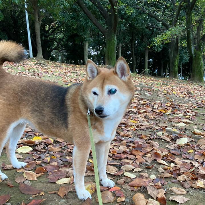 E088532d 2fd9 46e1 a731 1a6cf3e7efc3 1634008520564