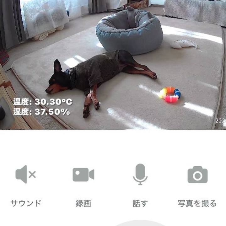 E088736b e069 4b2a a028 60cab5ebfd2f 1734215948418