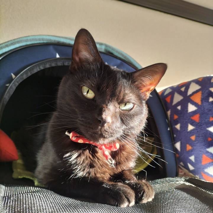 E0888146 dc4e 4e0f 8ee4 e6c012bedece 1645396930054