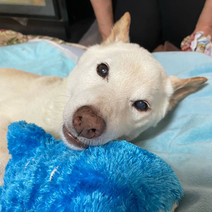 E0891a63 a0a0 4aff b75e 7f3638c09320 1660556567304