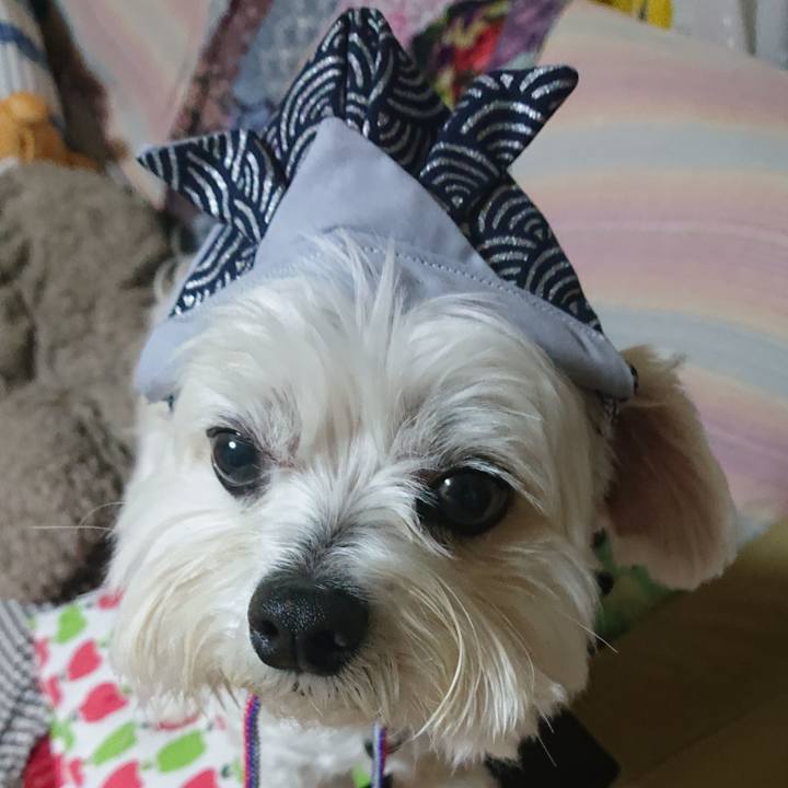 E0892472 d9d6 49df ae87 18262dc4bd28 1650631284230