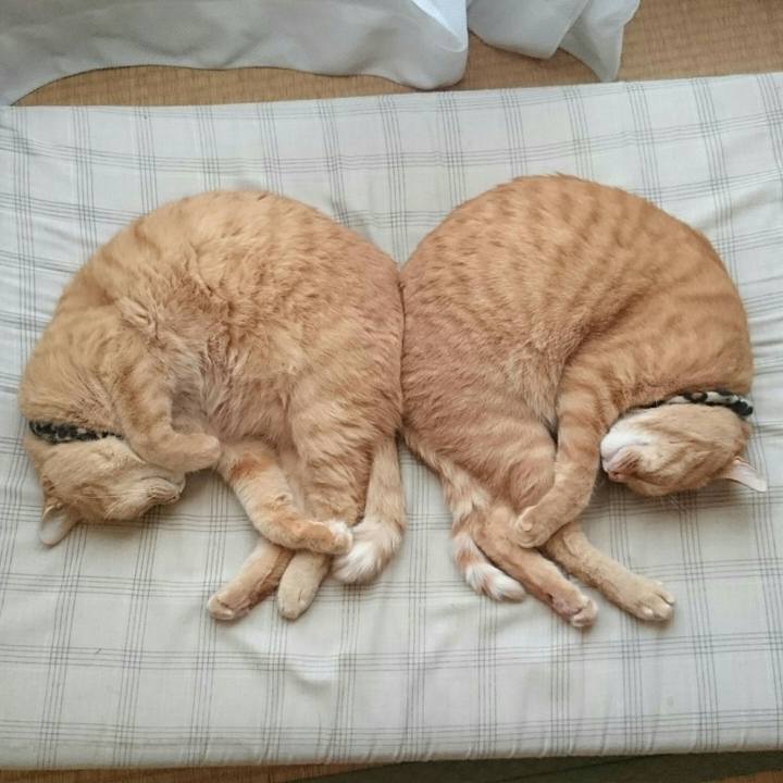 E0894ef7 82cc 4a01 9b79 626ed5a0d9a3 1536135467114