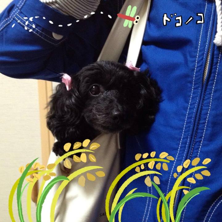 E08951f6 c745 43b1 8ad0 763157a4428d 1761778595499