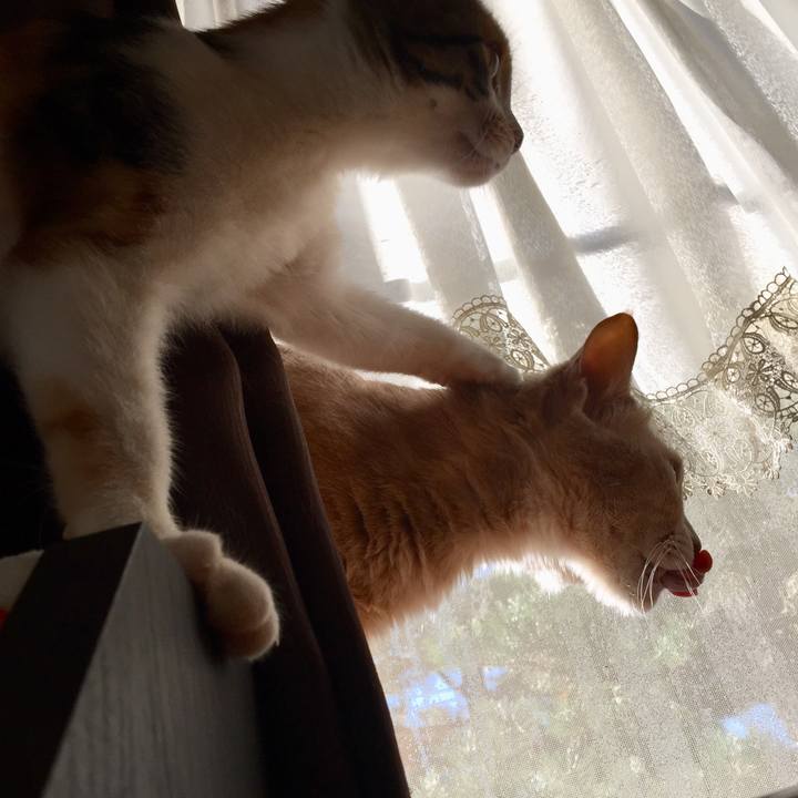 E0897543 2a63 4dad 80ec 331525118ce4 1637107774764