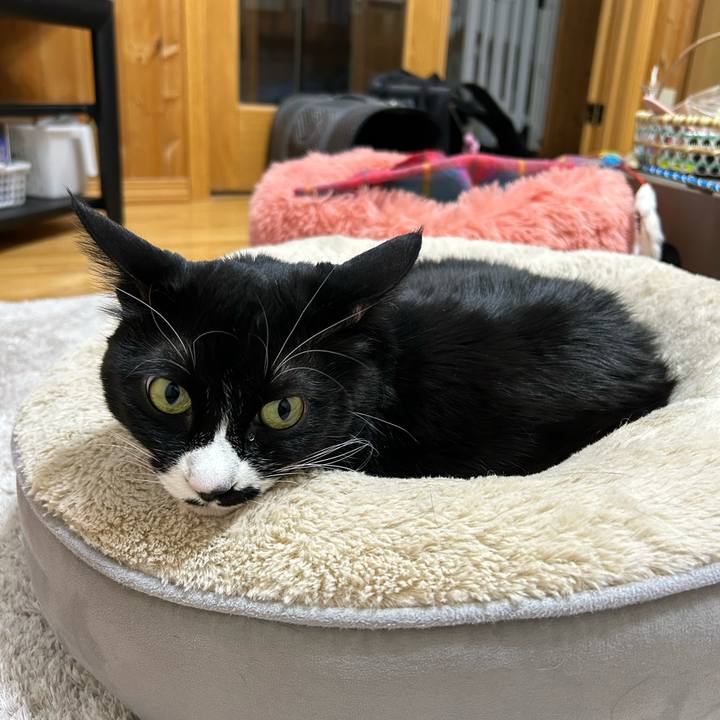 E0897b62 4832 47a6 ac4e 891dd99b4619 1768821123975