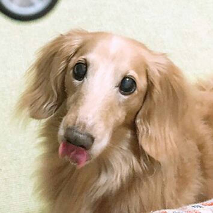 E08996d3 f4c8 4712 8dd6 fd3bb125bacd 1543510157397