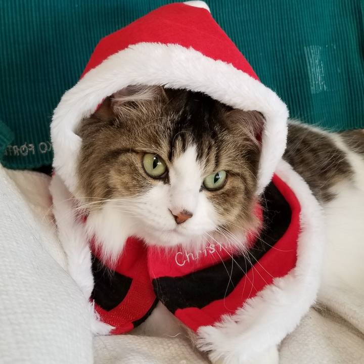 E089c34a 1771 40ee a20d 44f8951aa7d2 1573914769758