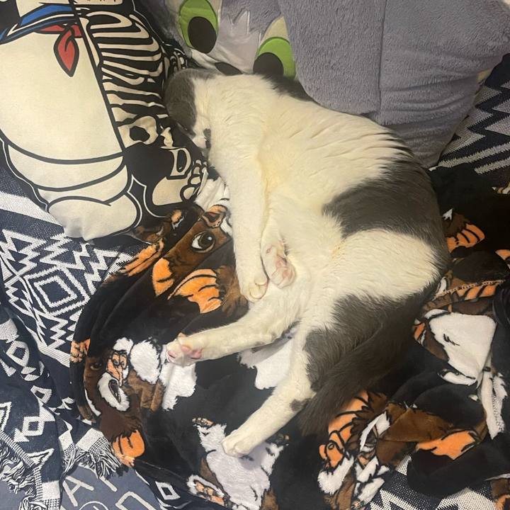 E089de8f 0ab7 41dc 9753 44f0fad7409b 1709468041623