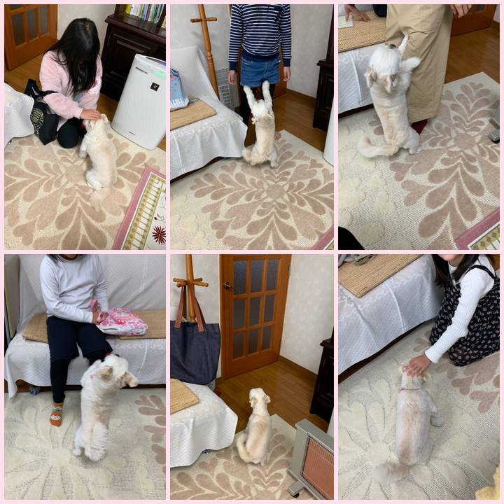 E089f0d8 ca71 4814 aec5 b9264c83fa1a 1584615028648