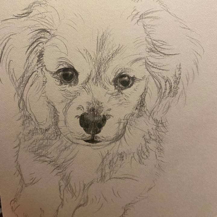 E089fe83 9e76 4342 9b70 199782212d0a 1646226150215