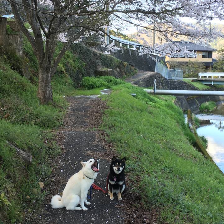 E08a0eb3 2e22 40f5 b2ba c61a6c1f3ca2 1524995523431