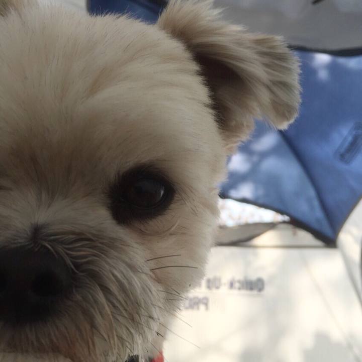 E08a199d b36b 4236 8670 797ee9e22579 1554639298566