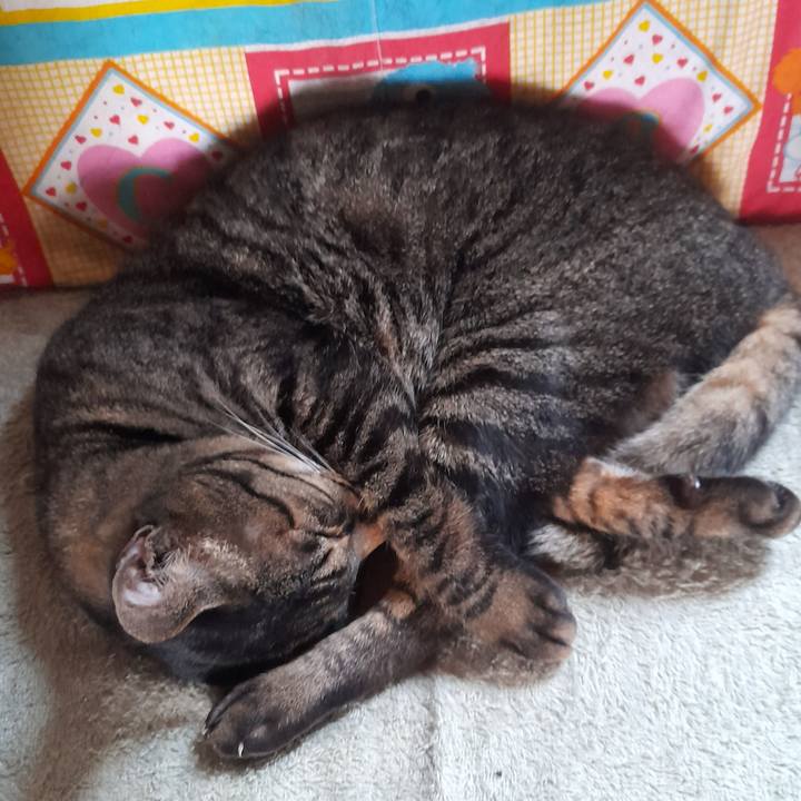 E08a19b8 6d74 4f3a af54 e8e3a68a9dd0 1764948292165