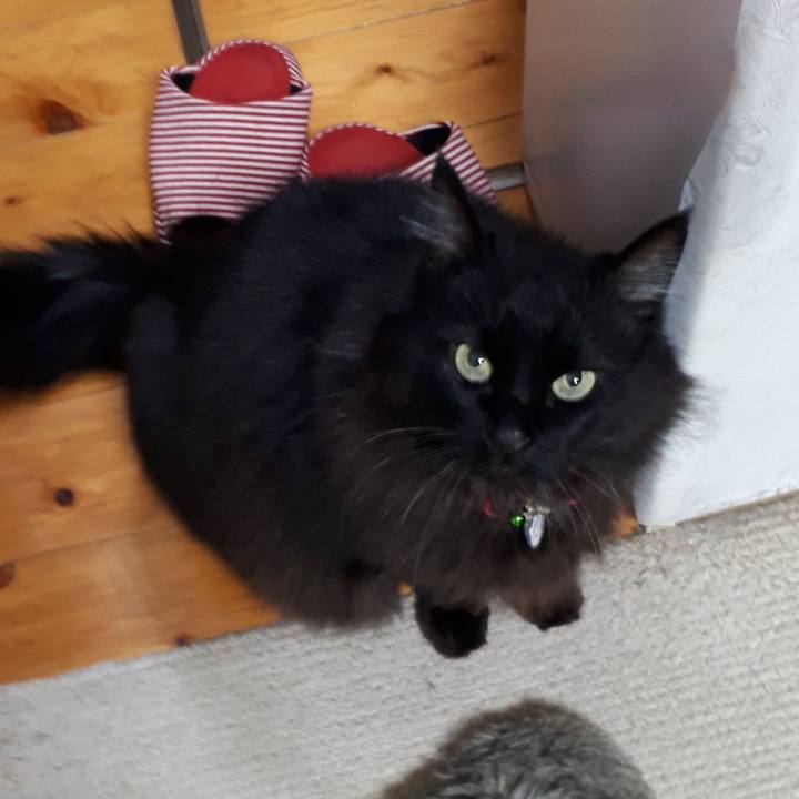 E08a2530 a0fa 4d70 814a f3ba91cf10e1 1521538692132