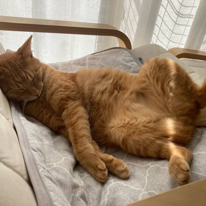 E08a3e5a ee23 4f9a 8e3e f73a690c77fd 1759036188771