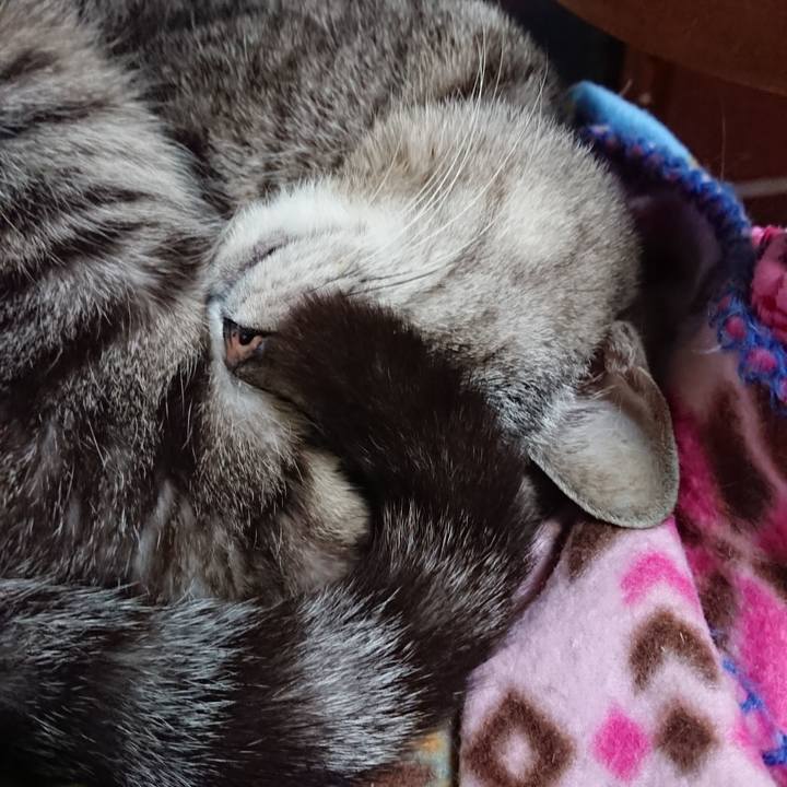 E08a4662 f6eb 46b5 aea9 e56218dec76c 1557618042363