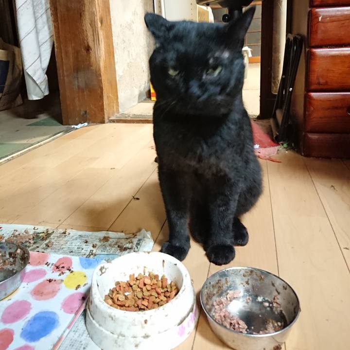 E08a67bd 9826 4c0e a757 4cedaa403a21 1661770595540