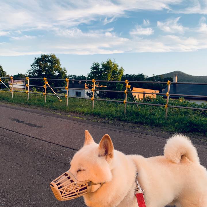 E08a750d 04f3 477a 8b22 bf29f66b9cc2 1597265367726