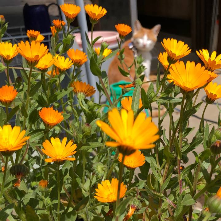 E08a78a5 996f 4844 a682 04e3657c5780 1554596292835