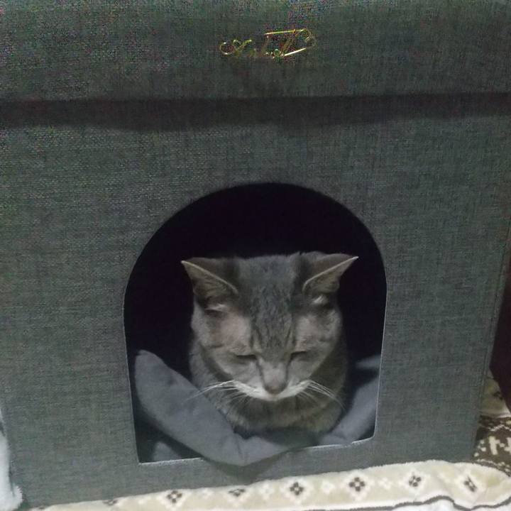 E08a7ec1 41d7 4e99 8dbd d60ad4cd7c9a 1670159279458