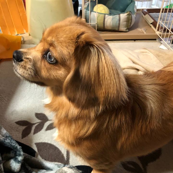 E08aa069 afab 434b a2a5 da2257bad8aa 1509400822495