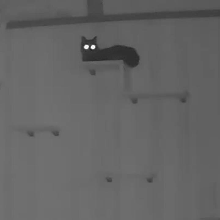 E08ae07d 571f 4166 8072 8f78a55205e3 1526134434949