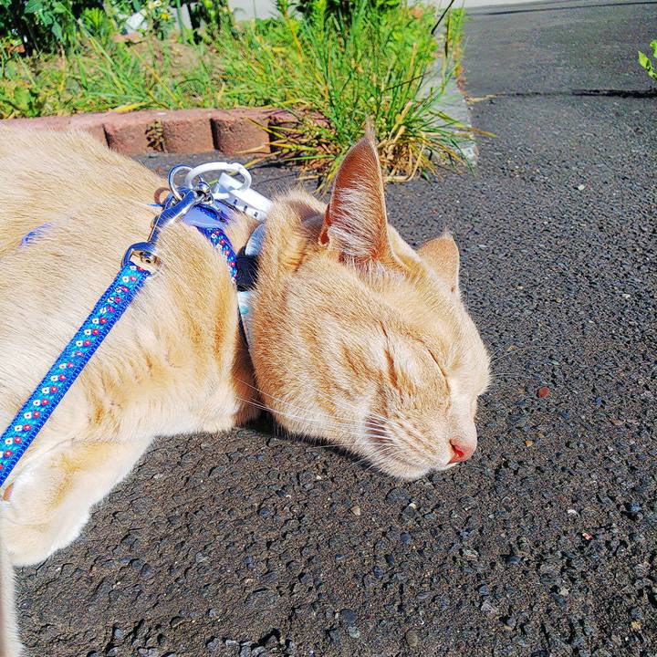 E08aeaca f3d9 4bd6 8947 de5277fbfa00 1626308806302