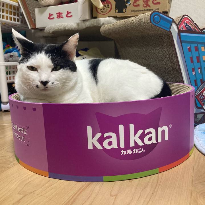 E08b0303 a63b 4875 9191 9f57f55d53ec 1757846498078