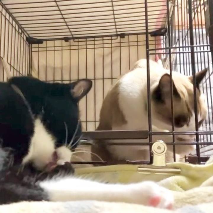 E08b117b 18e2 4b06 a67e c0aaa6a13882 1730539364709