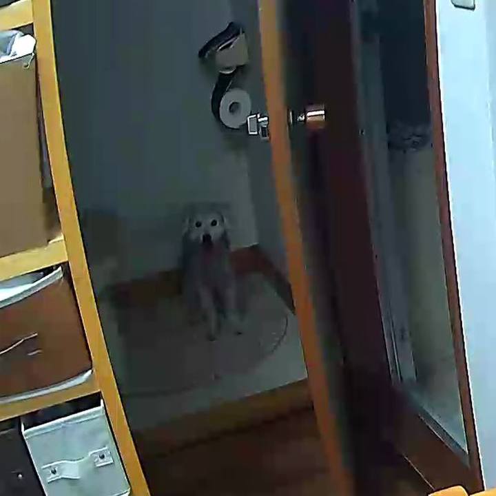 E08b1e8d 99db 4bcb b6a3 0aa11c66d730 1633050701988