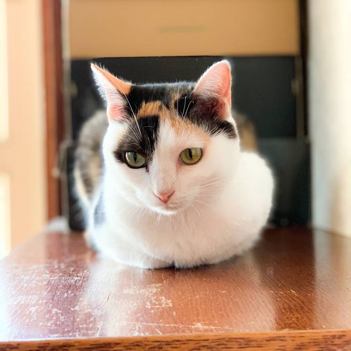 E08b2268 adce 4c20 92cb 7c709eef823a 1570588650846